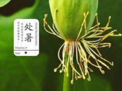 2019年最新处暑发朋友圈的早安说说 2019年最新处暑发朋友圈的早安说说