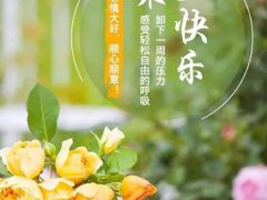 周末微信早安问候语,周末早安温馨祝福 周末微信早安问候语,周末早安温馨祝福