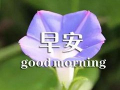 周末早安问候语正能量,简单的周末早安朋友圈问候语 周末早安问候语正能量,简单的周末早安朋友圈问候语