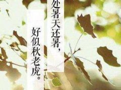2021处暑节气短信祝福及问候语，清凉处暑短信祝福句子