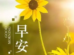 关于每天去上班前激励自己发朋友圈动态的早安物语