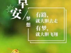 八月微信朋友圈早安心语,八月早安励志语