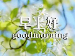 有关八月励志早安心语,八月正能量早安说说