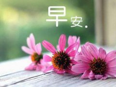 早安心灵鸡汤励志语录，早安励志女人奋斗语录