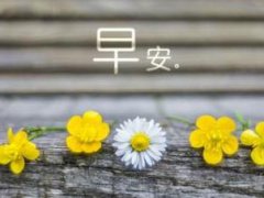 微商界早安语录正能量句子 早安语录心灵鸡汤正能量的话