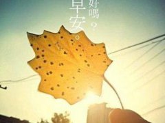 女人早安励志语录,早安心灵鸡汤励志语录