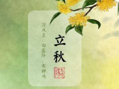 2020关于今日立秋的心情说说立秋的短信祝福说说