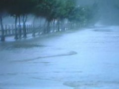 台风暴雨朋友圈说说_刮台风的空间说说
