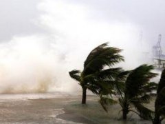 台风要来了的搞笑说说,台风来了暴雨上场了的说说