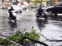 形容台风来了的心情说说,台风来了风吹得舒服的说说