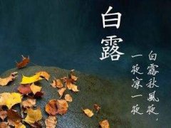 2021白露节气早安短信问候语_经典白露节气祝福短信
