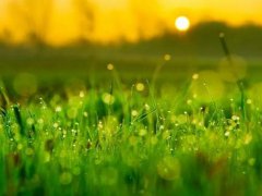 2021白露节气微信祝福语_经典白露节气祝福短信