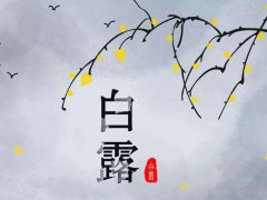 二十四节气白露短信祝福怎么说_关于白露节气的温馨祝福语