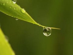 白露时节朋友圈祝福语怎么说_关于白露节气的暖心祝福