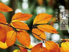 2021秋分节气问候短信