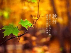 2020金秋给朋友的短信祝福语_金秋九月微信祝福语
