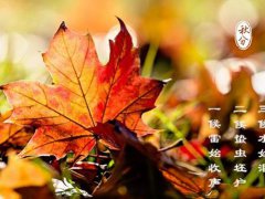 金秋九月发给客户的祝福语_金秋九月朋友圈暖心祝福