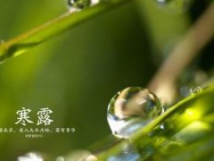寒露节气送老人的祝福怎么说_寒露短信遥寄祝福温馨问候语