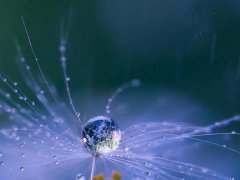 2020校园寒露加衣的问候祝福短信_寒露时节的温馨祝福