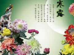 2020寒露节气祝福语_今日寒露的朋友圈温馨祝福语