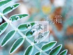 寒露朋友圈祝福语怎么写_2020寒露养生短信祝福语