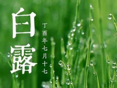 2021给小孩过白露节气祝福语_白露节气暖心问候祝福语