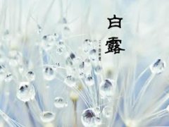 给小孩过白露节气祝福语