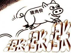 菜市场猪肉涨价的搞笑说说_猪肉太贵吃不起的朋友圈说说