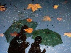 描写秋雨伤感的句子_关于秋雨的伤感凄凉句子