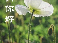 三月你好带图唯美句子说说_再见二月三月你好带图说说