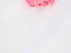 二月再见三月你好带图说说_三月请对我好一点唯美说说