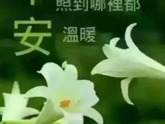 早安幽默说说心情短语_2020早安问候语幽默说说