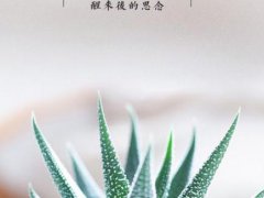给女朋友的早安幽默说说_周末幽默早安的说说带图片