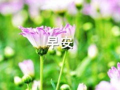 早安幽默正能量的句子说说_关于早安的搞笑带图说说