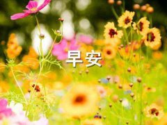 同学群早安幽默说说_关于早安幽默的句子说说心情