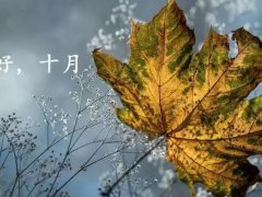 你好十月的说说配图_十月你好的励志说说_十月你好图片