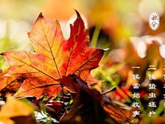 秋分短信祝福语_养生秋分温馨问候语