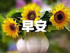 早安经典简短暖心问候语
