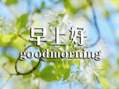 微商早安心语短句子_2020微商早安句子简单正能量