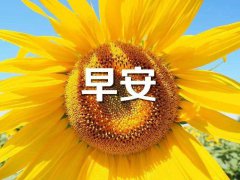早安心语正能量英文句子_20句英文早安心语鸡汤精选