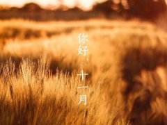 十月再见,十一月你好的说说带图片_朋友圈十一月你好的心情说说