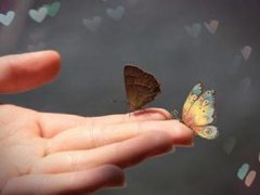 发朋友圈看淡人生的句子_看淡看透人生的经典句子
