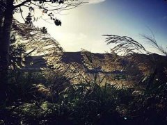 描写岁月沧桑的句子_写老人岁月沧桑的句子_岁月沧桑的句子