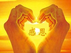 2020感恩节感恩父母的句子_感恩父母的话暖心的