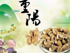 九九重阳短信祝福语简短_2020重阳节祝福语_九九重阳节快乐