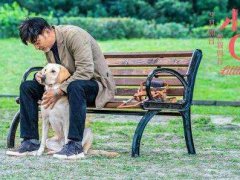 电影《小Q》观后感说说_影评《小Q》电影简短句子