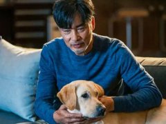 电影《小Q》全国公映影评句子_陪伴是最长情的告白