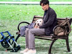 电影《小Q》观看心得感想说说发朋友圈_终极陪伴告白