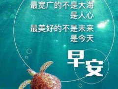 适合早发朋友圈的句子调皮_早安抖音正能量句子