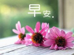 精选30早安幽默问候语_微信早安问候幽默_早安搞笑问候语